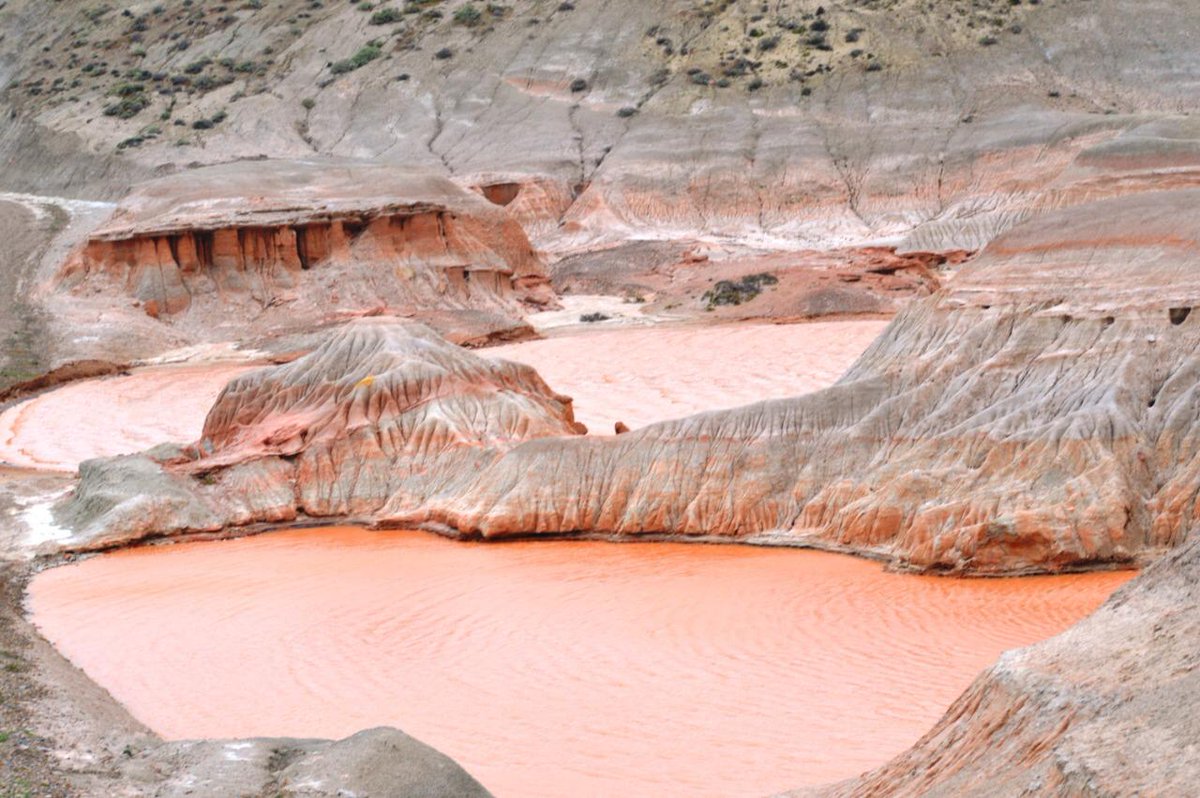 Comenzamos con un sueño que hoy se hace realidad. Rocas Coloradas fue declarada Área Natural Protegida.
Gracias a la <a href="/unpsjb_oficial/">Universidad Nacional De La Patagonia San Juan Bosc</a> por su trabajo y a la diputada <a href="/Adricasanovas19/">Adriana Casanovas</a> por su impulso.
Vamos a cuidar, proteger y potenciar nuestras bellezas naturales