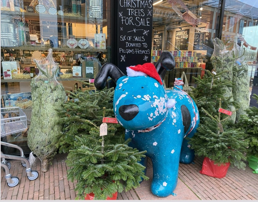 Look who's gone to <a href="/macknade/">Macknade</a> #Ashford for their Christmas Tree!