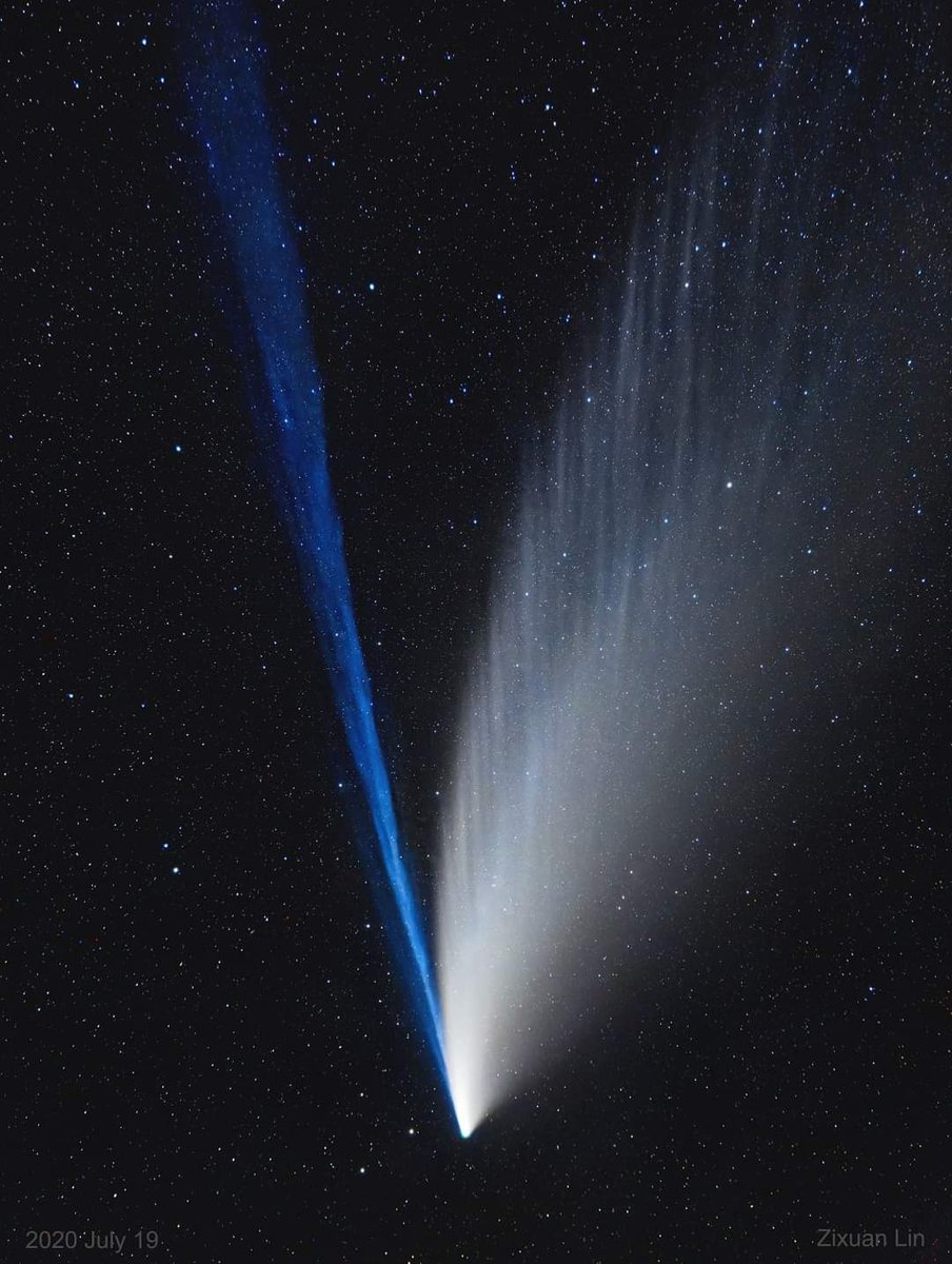 PacoCampagna's tweet photo. Questa foto ritrae la cometa NEOWISE e le sue due code.
La prima, quella blu, è composta da atomi di gas e può estendersi fino a qualche centinaio di milioni di km.
La seconda appare curva, poiché il pulviscolo è più pesante ed oppone più resistenza al Vento Solare. https://t.co/vLy1bL1qxP