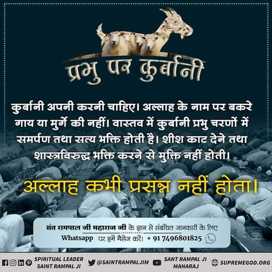 #muslimquotes #deen #bismillah #loveislam #islampost #SaintRampalJi 
बाखबर का संदेश
यदि हलाल करने का शौक है तो अपने काम, क्रोध, लोभ, मोह, अहंकार आदि बुराइयों को हलाल कर, खत्म कर। अल्लाह के लिए समर्पण भाव से सत्य भक्ति कर, यही वास्तव में कुर्बानी है।