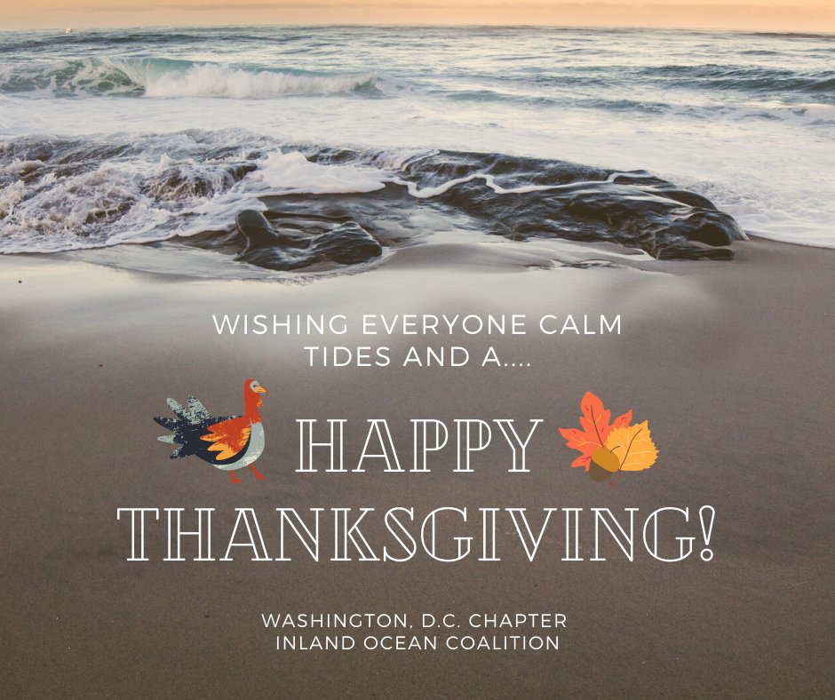 DCChapterIOC's tweet photo. Happy🦃#Thanksgiving!📣 Don't forget to join  @DCChapterIOC, @SurfriderDC, &amp; @UnitedbyBlue for any hour #TMRW for #BlueFriday #virtualcleanup! Tag us in your 📸photos! Fill out this 🗒data card: https://t.co/L94EWOUtjS

RSVP👉 https://t.co/mt6lWeB4XN!
#thanksgivingday #COVID19 😀 https://t.co/OkcTMUdX9h