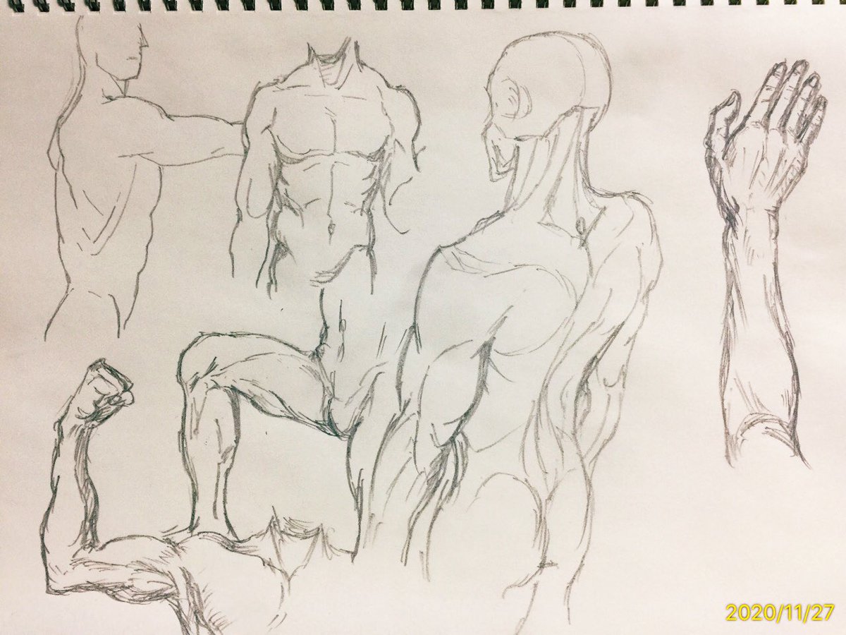 スケッチで学ぶ美術解剖学

なるべくアウトラインを、線の引き方に気をつけて。。。?
ぼちぼち描いて行きます。。? 