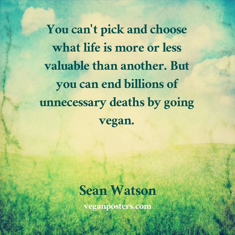 Vegan Posters tweet media