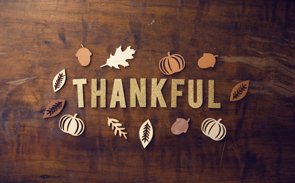 Despite all the challenges we have faced this year, we still have a lot to be thankful for - including YOU! We are so grateful for our friends and supporters!  From the Raintree Family to yours, Happy Thanksgiving!