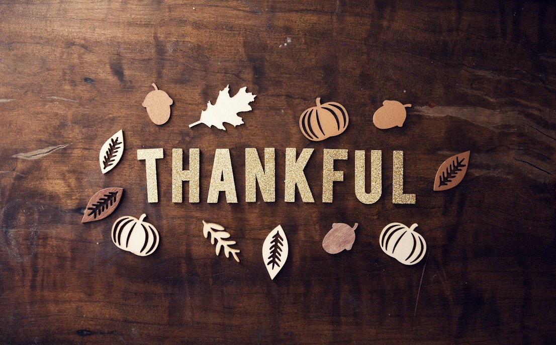 BoozeCollection's tweet photo. Happy #Thanksgiving from the Booze Hound family! 🍁🥧🦃 https://t.co/FwsDDp867l
