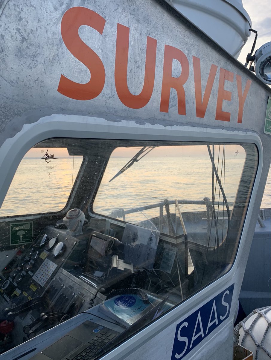 Ship As A Service(r) tweet media
