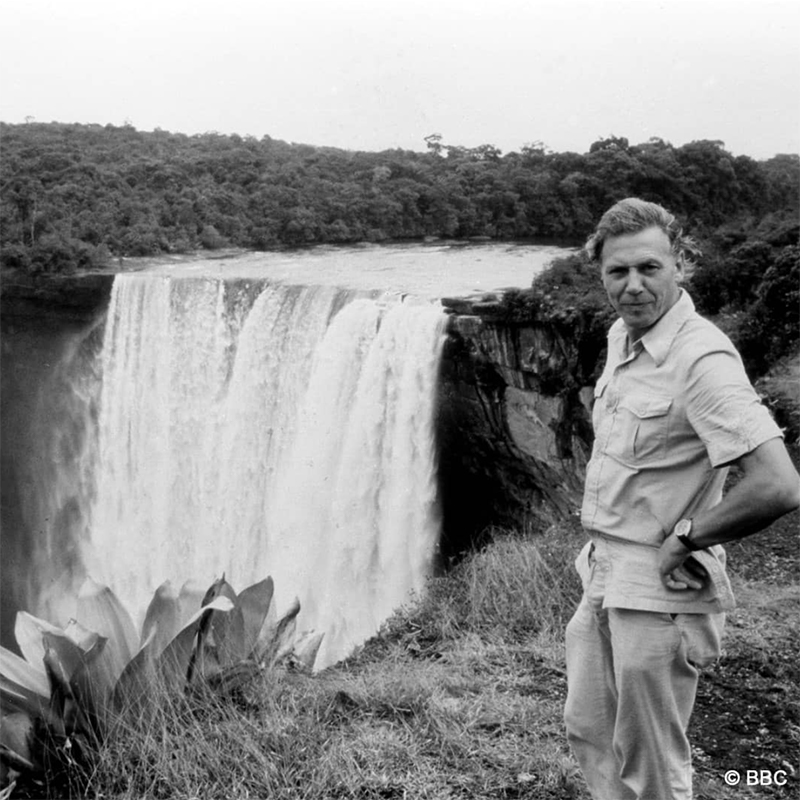 We're following Sir David Attenborough and his plans to use Instagram as a platform to tackle current environmental issues.

He has since recently broken a world record on Instagram for the fastest time to reach one million followers. 🙌 🌎