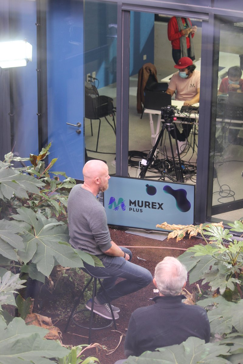 Murex Festival tweet media