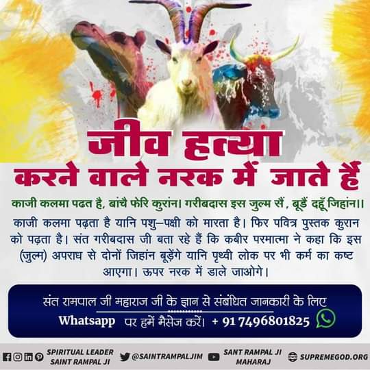 #muslimquotes #deen #bismillah #loveislam #islampost #SaintRampalJi
मांस खाना हराम
सुनि काजी कलिया किया, जाड़ स्वादरे जिंद। गरीबदास दरगाह में, पडै़ गले बिच फंद।।
माँस खाते हो, जीव हिंसा करते हो, फिर भक्ति भी करते हो। यह गलत कर रहे हो। परमात्मा के दरबार में गले में फंद पड़ेगा