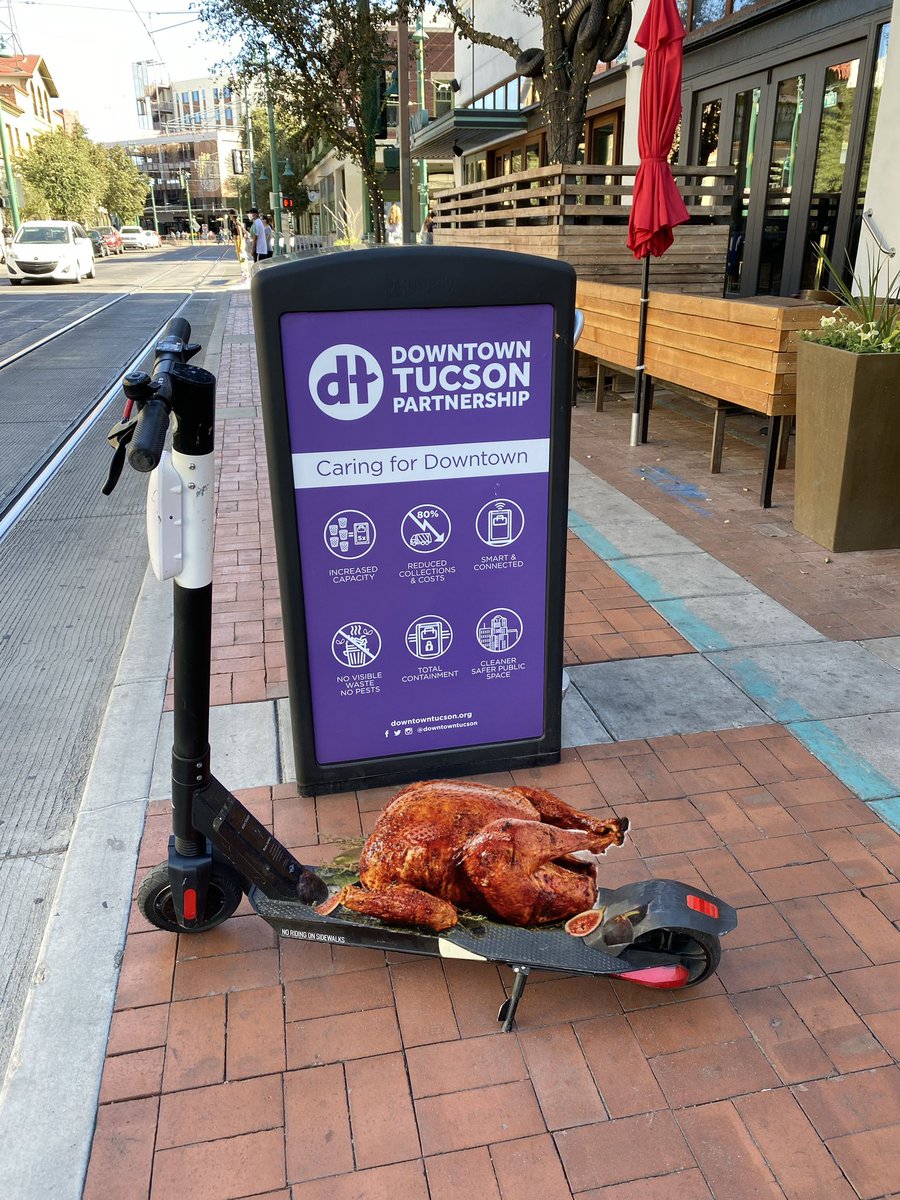 scooterlitter's tweet photo. Happy Thanksgiving from everyone @scooterlitter! https://t.co/aM0Pwerl0p
