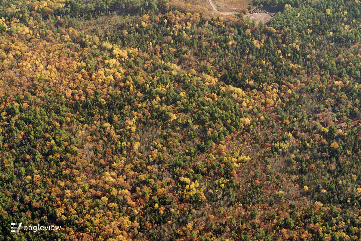 _rishidaga's tweet image. Wishing a #HappyThanksgiving to all! Enjoy the changing leaves, delicious food, &amp;amp; reflection on all you're thankful for.