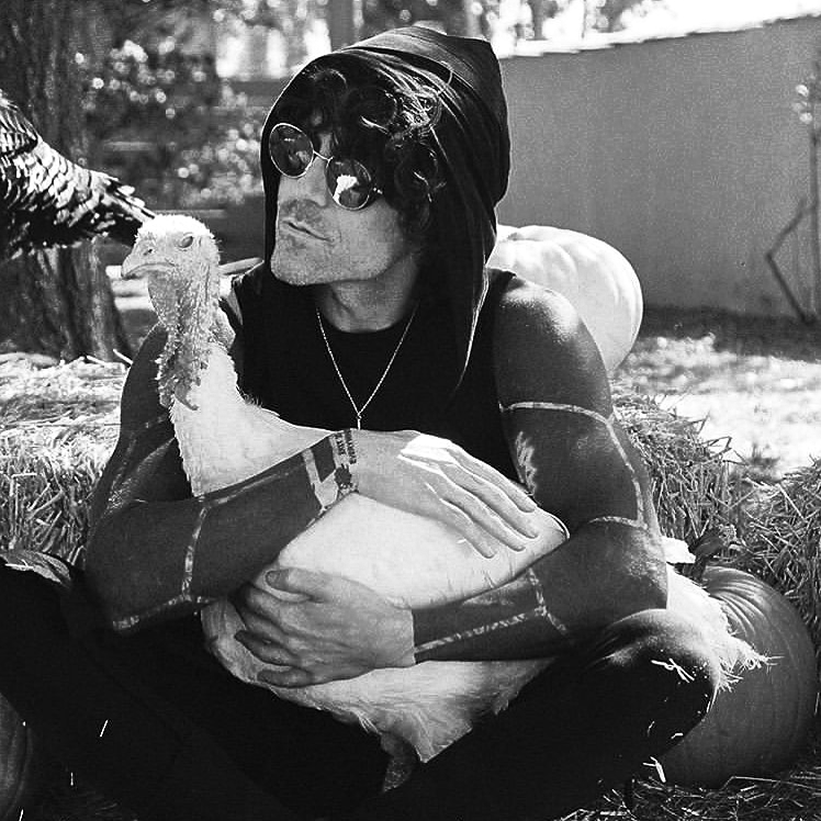 AFIHeadquarters's tweet photo. Happy Thanksgiving from all of us at HQ. Remember to check out @FarmSanctuary who teamed up with @DaveyHavok and @montygoodburger this year for their Adopt a Turkey Project. https://t.co/7EmbOOrPDC