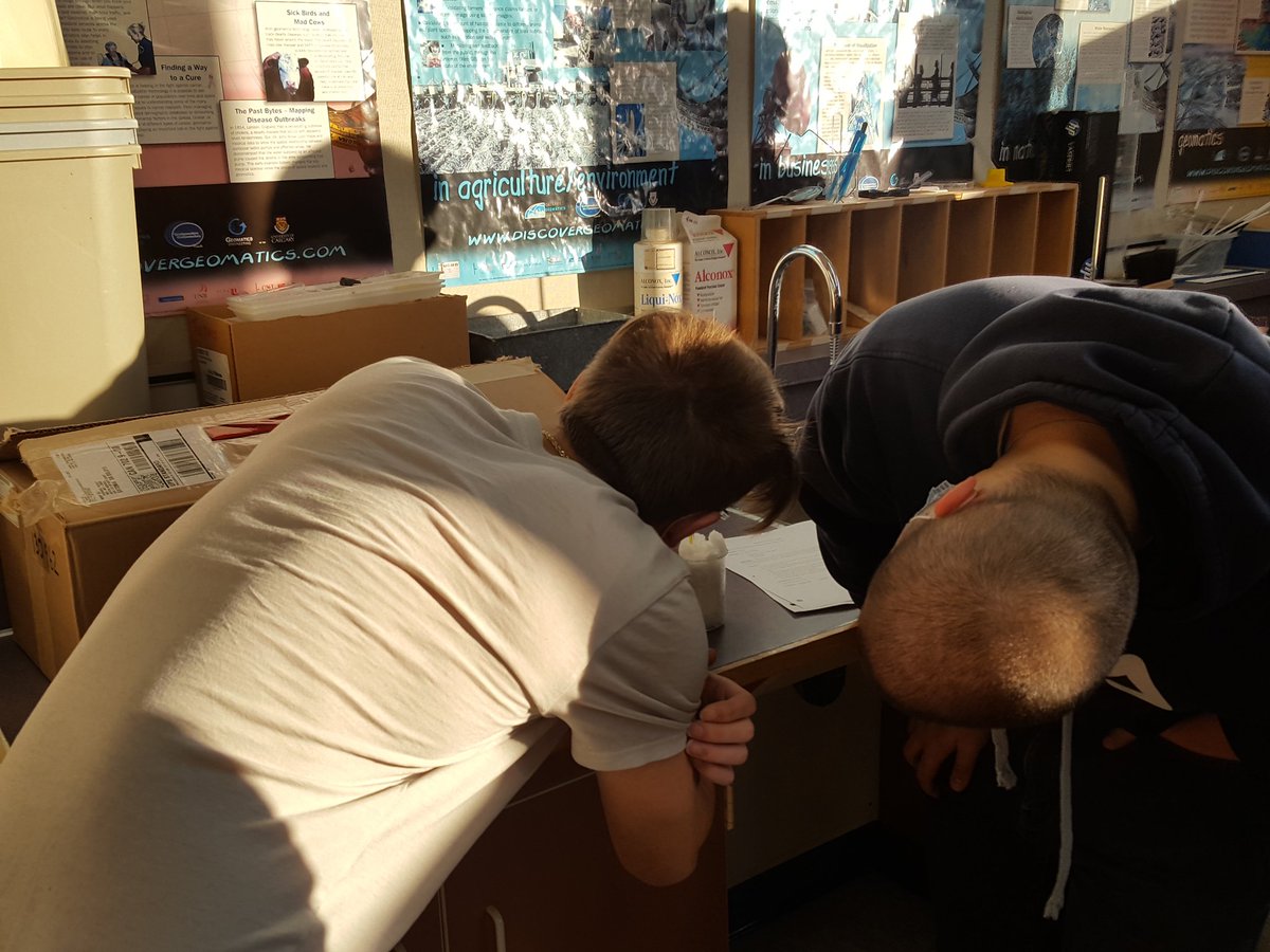 Michael Hoult tweet media