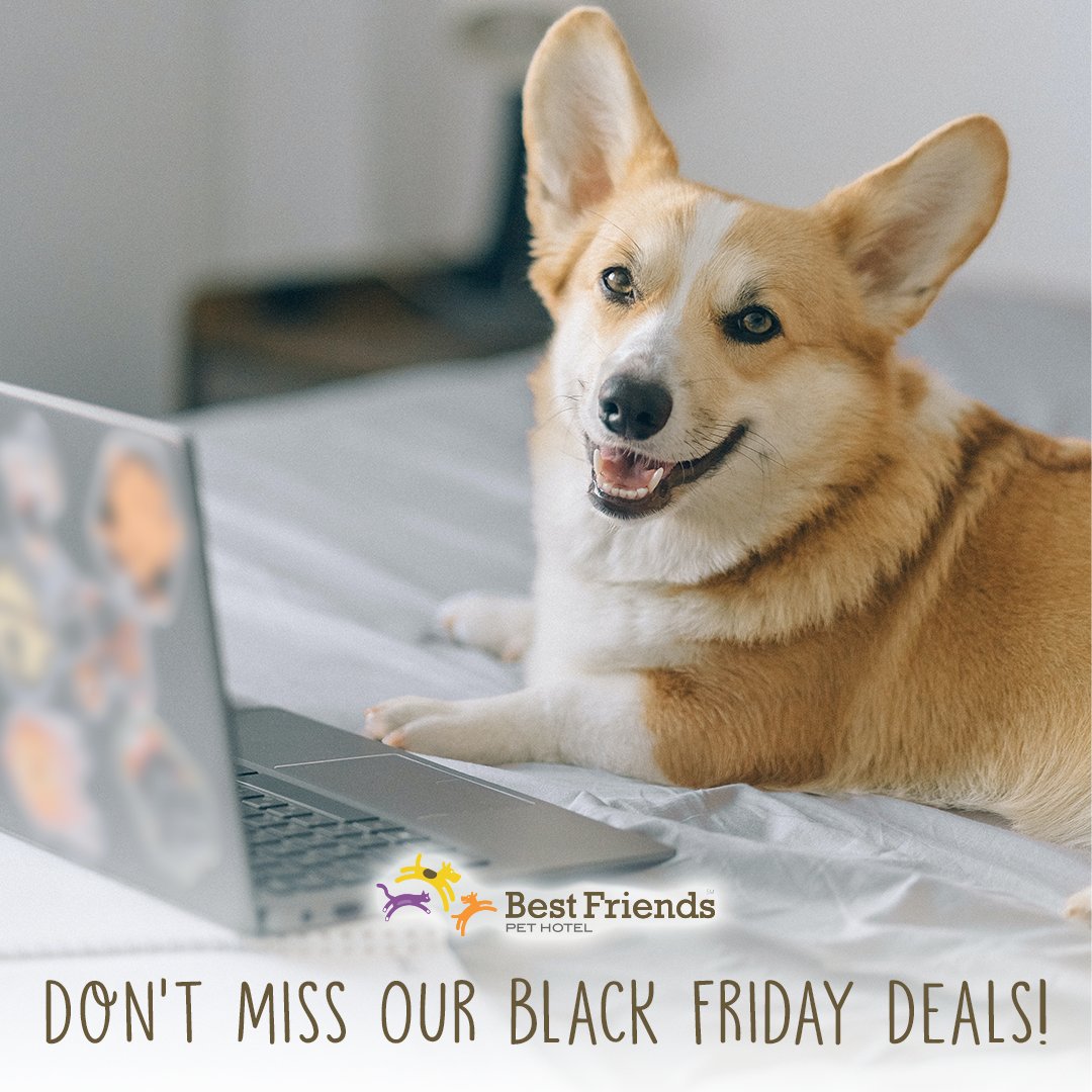 hobland pet hotel and spa