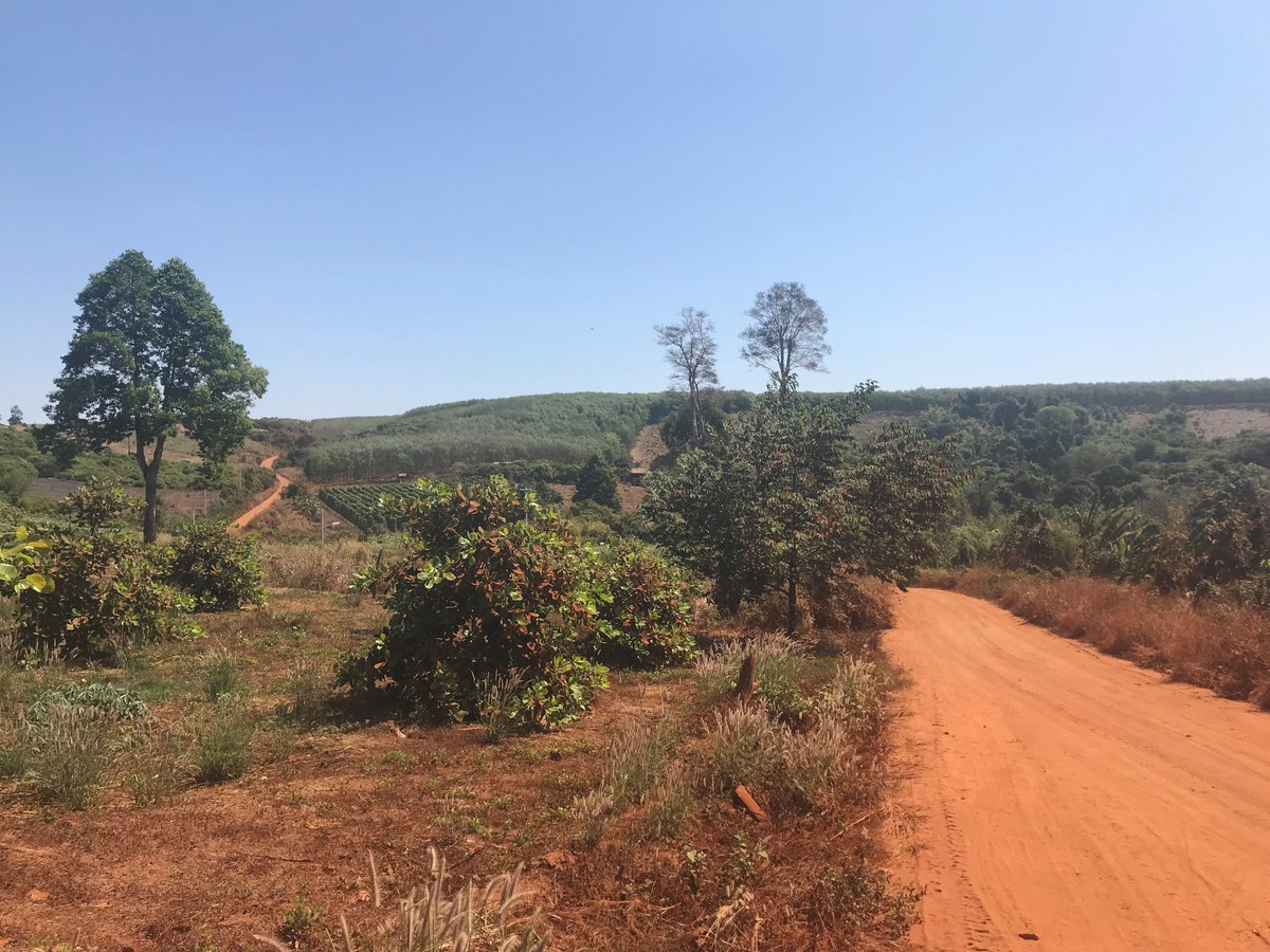 TESS's team uses network analysis to find the key players for effective conservation in Cambodia. ow.ly/EoC350CvWZO