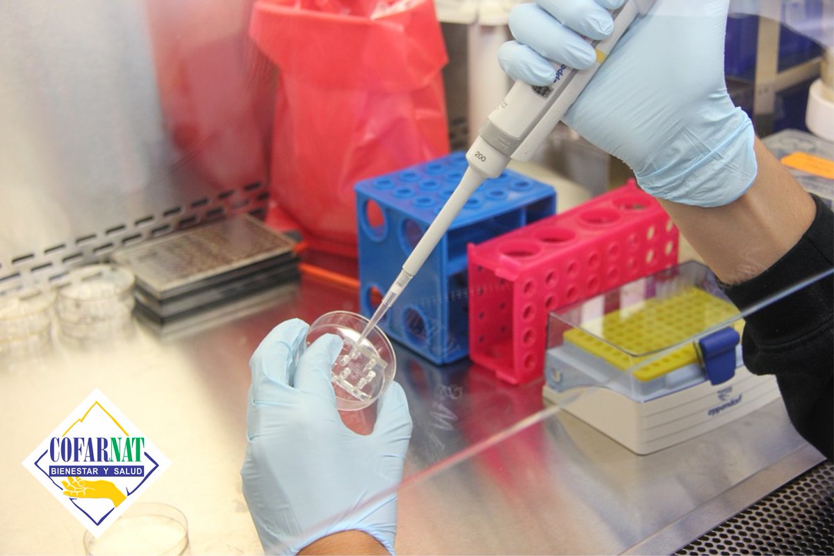 LabCofarnat's tweet image. Como resultado de todo el proceso de maquila y fabricación a terceros, al cliente no solo le entregamos un producto final listo para comercializarse en el mercado, sino toda una estrategia de marketing , diseño y normatividad.
¡Contáctanos!
PBX ☎️ 203 0378 
📲  310 324 6747