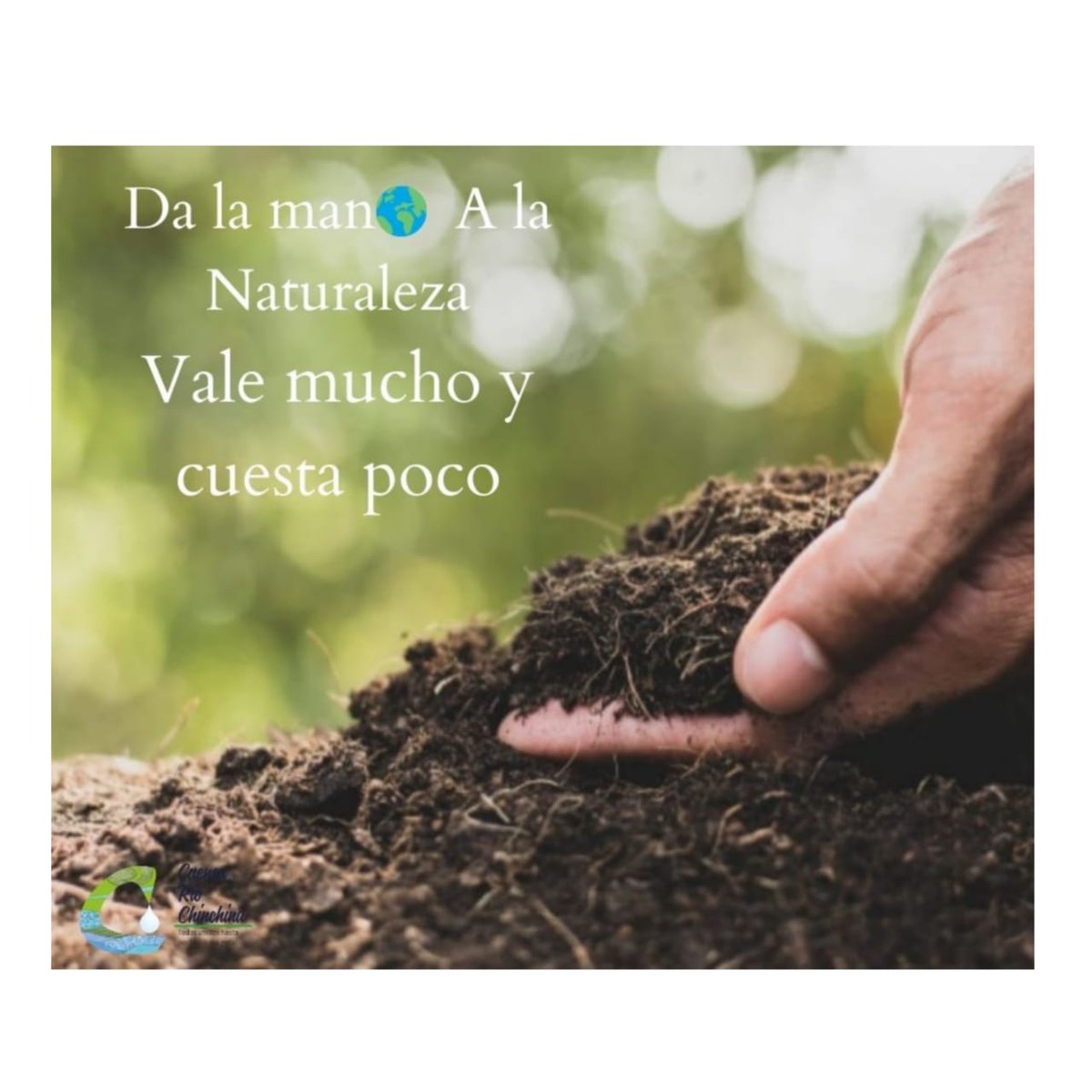 Alejandra tweet media
