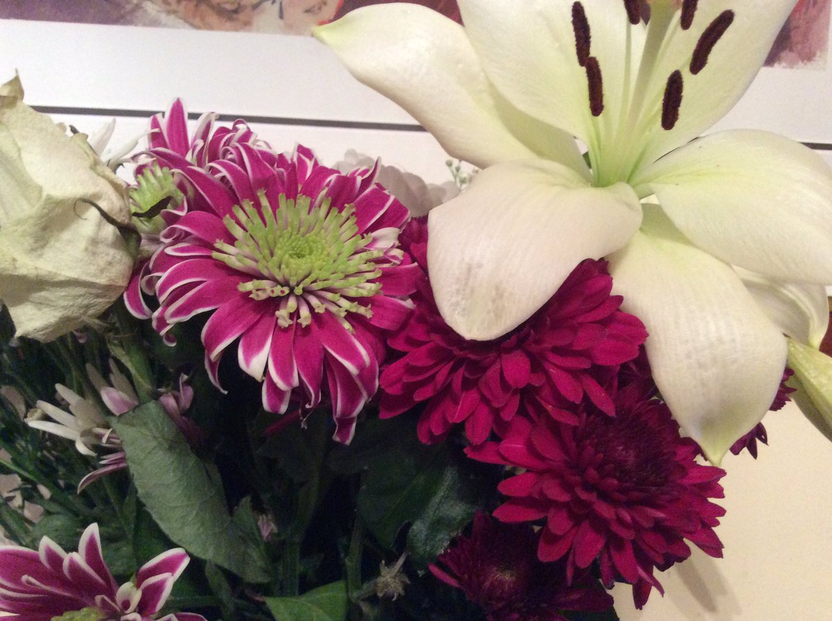 tansmania1's tweet image. Congratulations @DavidsonJenn virtual flowers and 👏👏👏👏👏for a wonderful #ZeBBies 2020  !