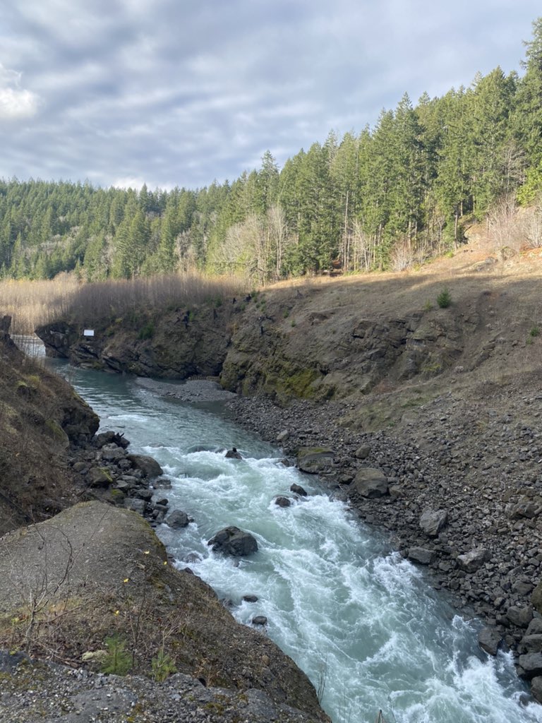 cheyenne_palmo's tweet photo. Solo hiking chronicles: Thanksgiving Special @ Elwha River ! 

Thankful for WA and all it’s views that never cease to amaze me :) https://t.co/YjwSCgO7BG