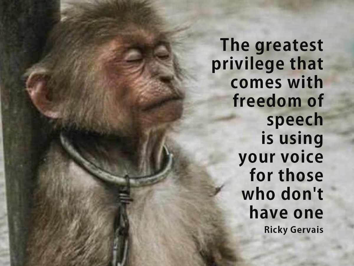 ANIMAL ADVOCATE Ⓥ (@_animaladvocate) on Twitter photo Injustice thrives on silence, inaction and inequality.🤔
#Justice only exists in the practice of it and when all are equally protected by it. There can be no justice without #AnimalRights🙊
Go #vegan💖
@RickyGervais <a href="/Ivy_MiddletonUK/">°•° IⓋY °•°🌱🐽🐾🦋💚</a> <a href="/Protect_Wldlife/">PROTECT ALL WILDLIFE</a> <a href="/PeterEgan6/">Peter Egan</a> <a href="/zbleumoon/">Sarah ☮ & █▄❤️╲╱☰ Ⓥ🐘🐯🐬🐷🐥🐄</a> <a href="/vegix/">vegix</a> Injustice thrives on silence, inaction and inequality.🤔
#Justice only exists in the practice of it and when all are equally protected by it. There can be no justice without #AnimalRights🙊
Go #vegan💖
@RickyGervais <a href="/Ivy_MiddletonUK/">°•° IⓋY °•°🌱🐽🐾🦋💚</a> <a href="/Protect_Wldlife/">PROTECT ALL WILDLIFE</a> <a href="/PeterEgan6/">Peter Egan</a> <a href="/zbleumoon/">Sarah ☮ & █▄❤️╲╱☰ Ⓥ🐘🐯🐬🐷🐥🐄</a> <a href="/vegix/">vegix</a>