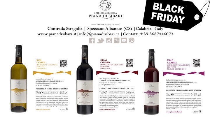 pianadisibari's tweet photo. It’s Black Friday!!!🌟
⬇️
Promozione ✅  6 bottiglie di vino rosato Violé e 6 bottiglie di vino bianco Kará € 80  ➡️ 📦spedizione compresa ❇️
➡️ Promozione valida dal 27 Novembre 2020 al 10 Dicembre 2020 📦spediamo in tutta 🇮🇹
📌info@pianadisibari.it
#blackfriday #vino #Italia https://t.co/CCWOoFMP2Z