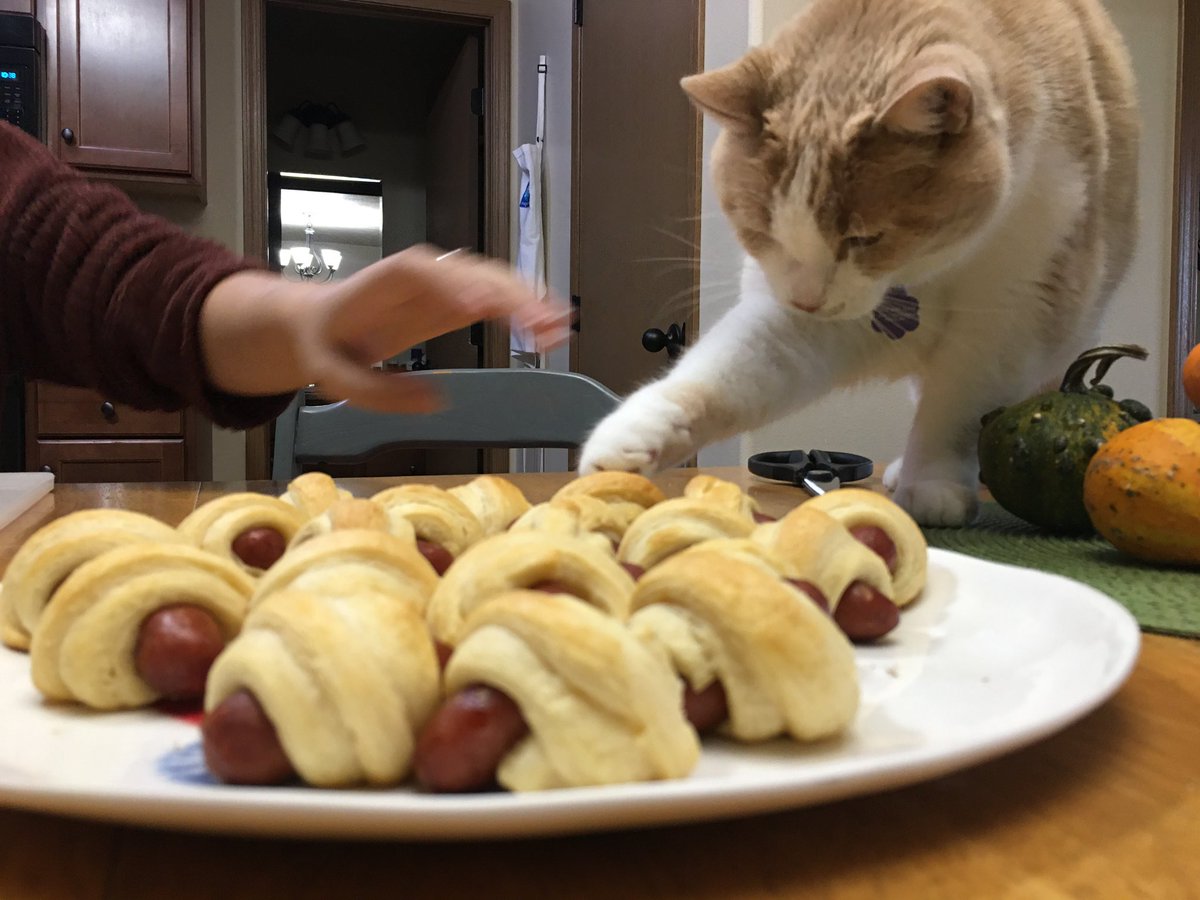 Erin Woodiel tweet media