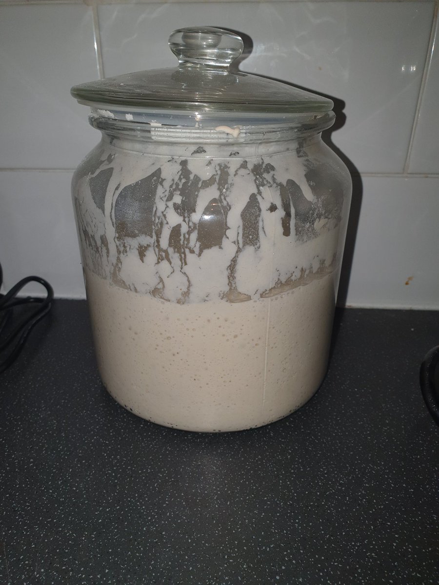 mccourt_360's tweet photo. @geeknik Starter mix for sour bread has gone crazy. https://t.co/ZL8et9Wxlk