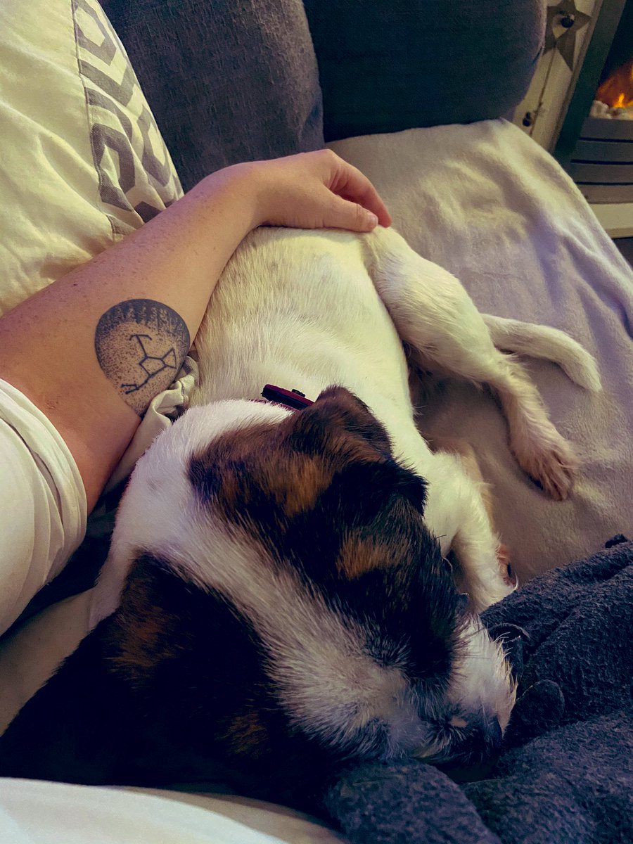 Stacey 🌻 tweet media