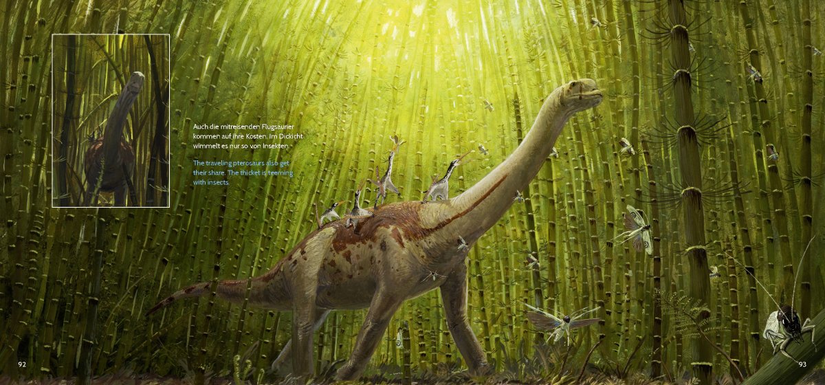 JoschuaKnuppe's tweet image. #AnimalArtistsUnite
I think it's time that I post some the more than 180 double pages I worked on for our Europasaurus Graphic Novel. A new form of narrative paleoart awaits you ;)
#europasaurus #dinosaurs #graphicnovel #animals #sauropods #europasaurusdiary #sciart #scicom