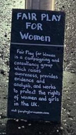 Falkirk Football Stadium :  #WomenWontWheest