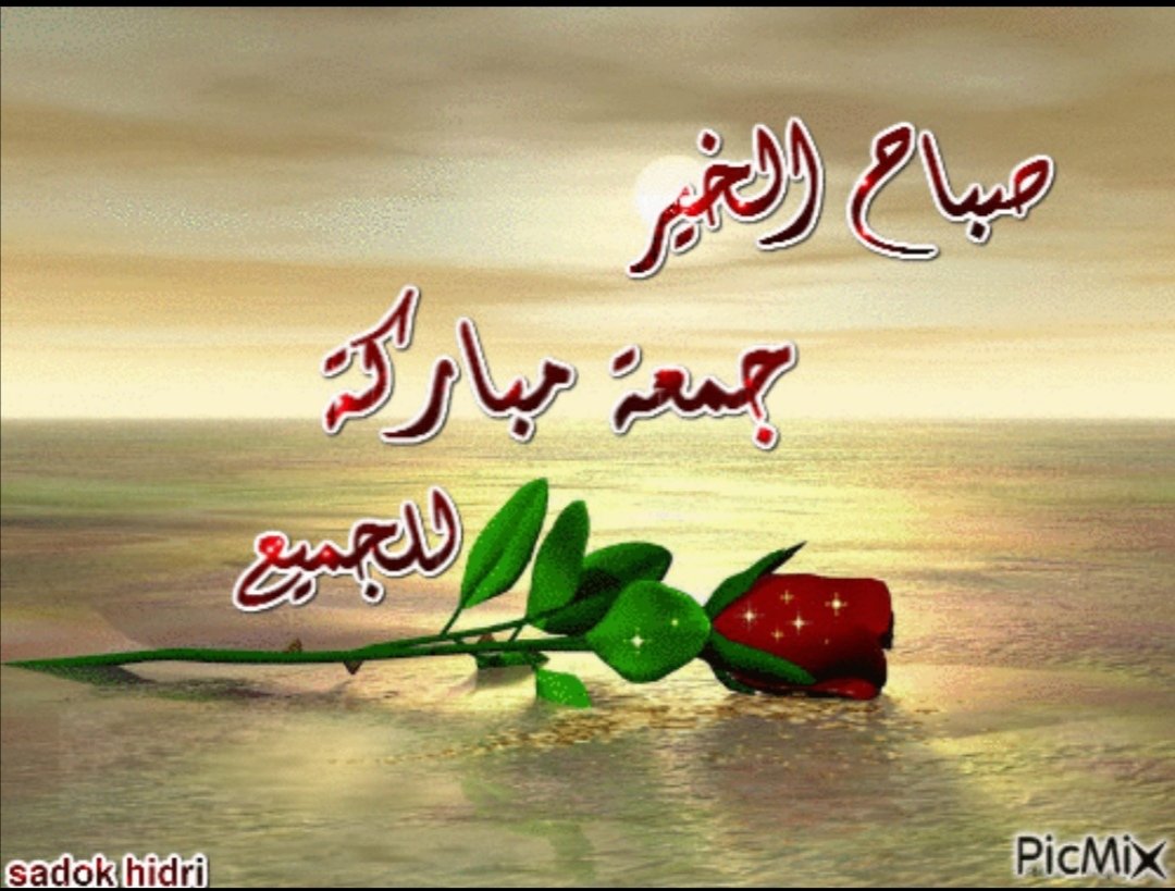 نوال محمد (@fgf_uj) on Twitter photo 