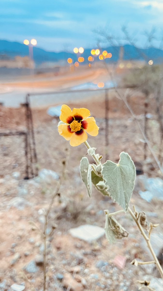 قال رسول الله ﷺ

من صلَّى عليَّ واحدةً
صلَّى اللهُ عليه  عشرَ صلواتٍ
و حطَّ عنه عشرَ خطيئاتٍ
و رفعَ له عشرَ درجاتٍ .

اللَّهُمَّ صَلِّ وَسَـلِّمْ عَلى نبيِّـنَا مُحَمَّدٍ  ﷺ 
#ليله_الجمعه 

#Kharif