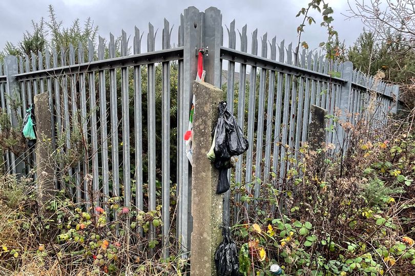 Disgusting trail of dirty nappies, poo bags and empty cans of lager dumped along Swansea cycle path bit.ly/2V8J0KS