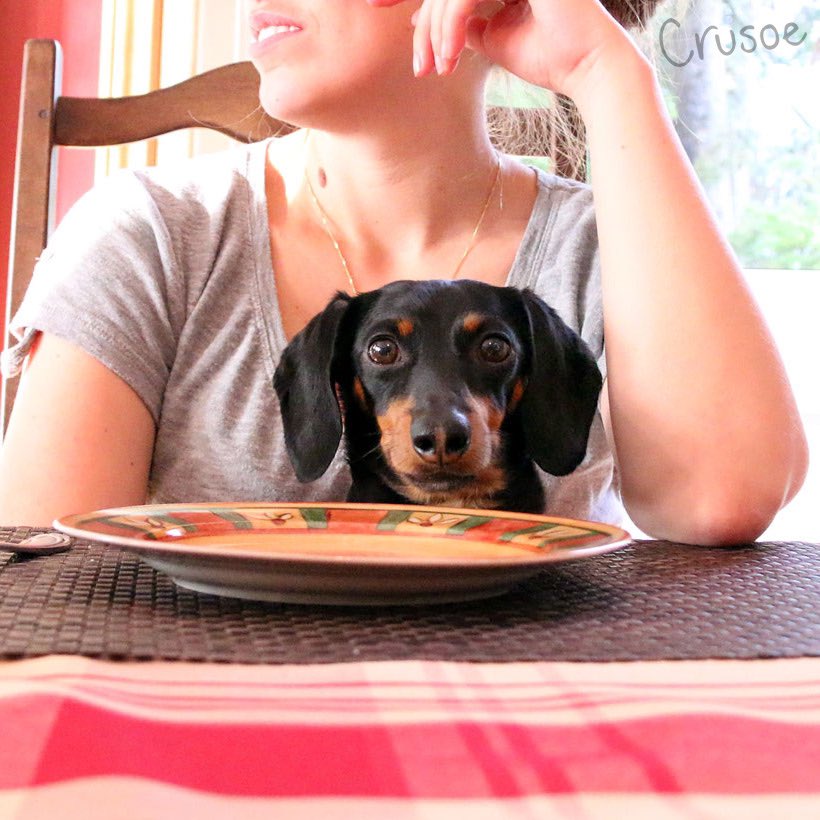 “Happy American Thanksgiving to my friends below! Eat well, stay safe, and save me a piece!” 

~ Crusoe