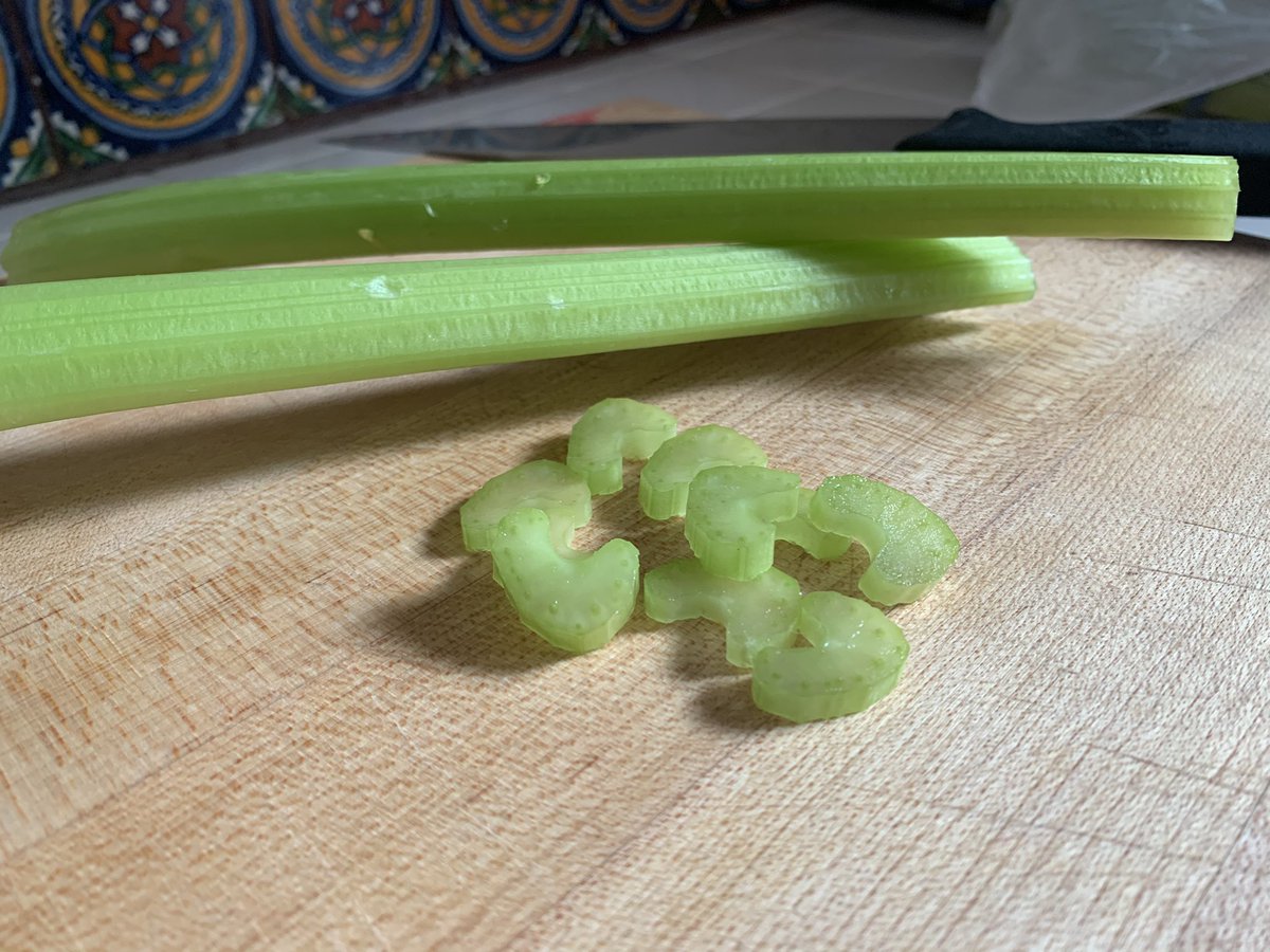 Lagomarsino_L's tweet photo. Celery (#Apium gravelons, #Apiaceae) is an essential #PlantsGiving ingredient, and is the fanciest petiole out there! I just love how you can see the xylem bundles in cross section. https://t.co/TfN6LK10vu