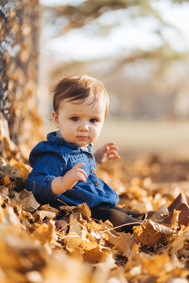 Mrs. Mandy Law tweet media