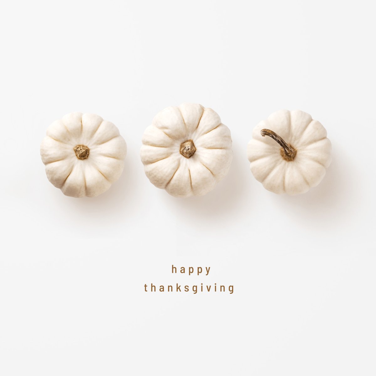 This year, we're thankful for the ability to continue to work; we're thankful for our clients; and we're thankful for you! Wishing you a safe and happy holiday.