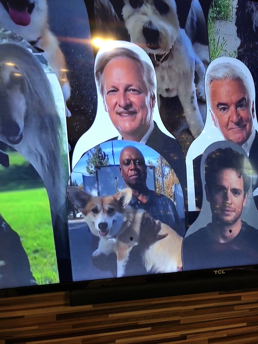 PrincessErika96's tweet photo. Did anybody else catch Captain Holt and Cheddar on the National Dog Show??? 😂 @nbcbrooklyn99 #NationalDogShow https://t.co/69AhMsZogY