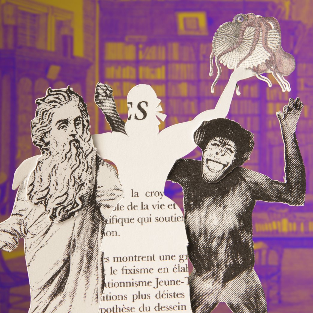 Fières d’annoncer l’acquisition de Cherchez la femme (30x2’30), série stop-motion et 2D dénonce avec humour le processus d'invisibilité qu'ont subi les femmes dans l'Histoire ! #Cherchezlafemme #Unsungwomen #HistorynotHisStory