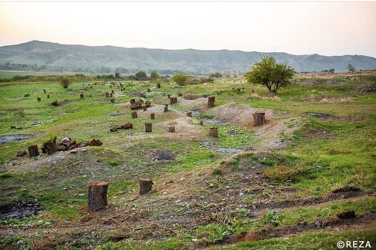 Guelya_nineties's tweet photo. Armenian vandalism has no limits. They are stealing cultural heritage, burning houses and cutting trees.The world is still silent. Armenian brutality against Azerbaijani people and cities has to stop. 
 #KarabakhisAzerbaijan
 #DontBelieveArmenia https://t.co/c55m1eBzOT