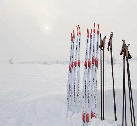 New skis, jacket sale, Garrott Kuzzy &amp; virtual races - eepurl.com/hjO8T9