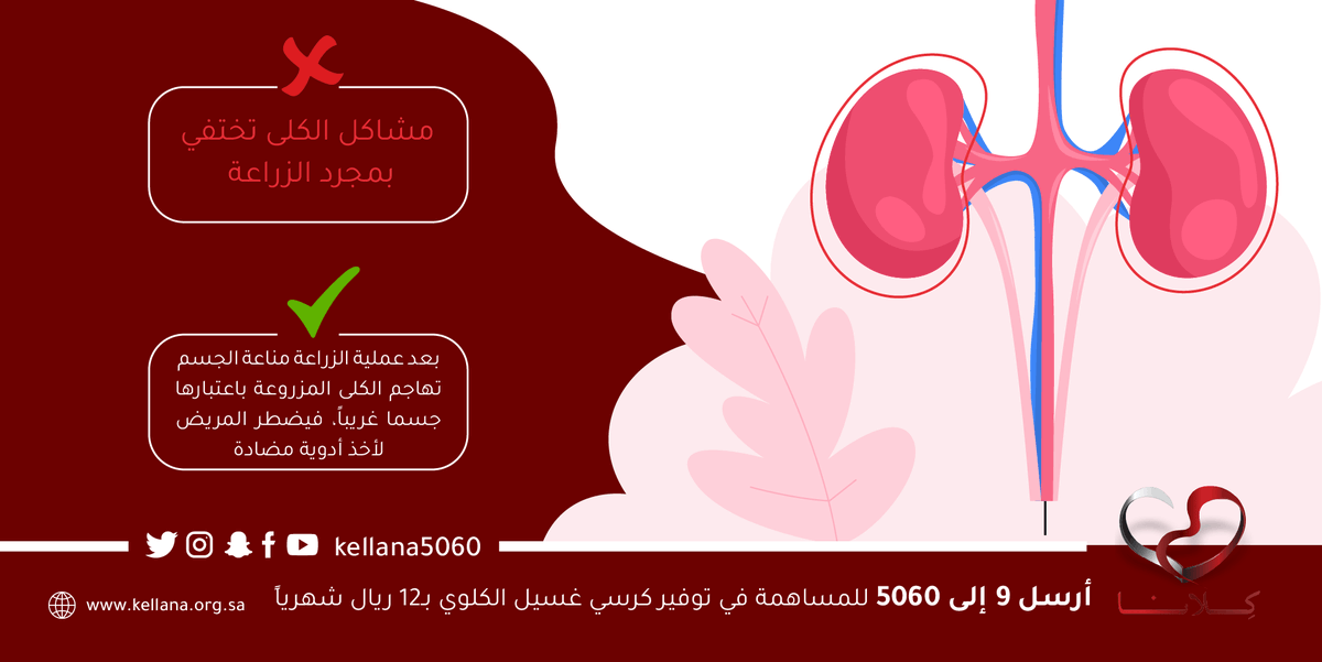 kellana5060's tweet photo. مشاكل الكلى تختفي بمجرد الزراعةX  
بعد عملية الزراعة مناعة الجسم تهاجم الكلى المزروعة باعتبارها جسما غريباً، فيضطر المريض لأخذ أدوية مضادة ✔

#رسالتك_حياة_لهم أرسل 9 الى 5060 للمساهمة في توفير كرسي غسيل كلوي بـ 12 ريال شهرياً https://t.co/R1DkF9aWb1
