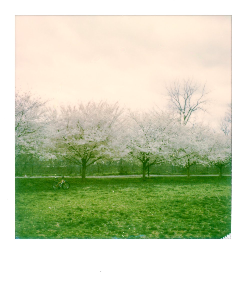 StephaneChongCH's tweet image. Dreamscape
#polaroid #instantfilm #mintcamera
