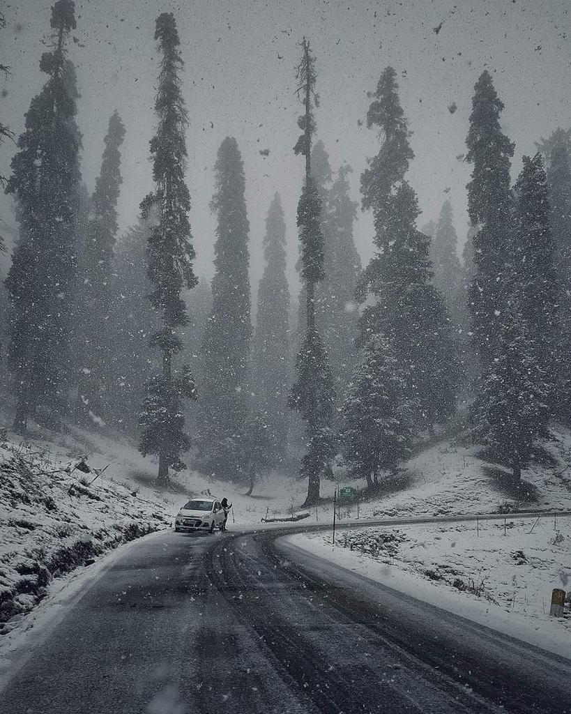 visitkashmirr's tweet photo. When we will see you here at Gulmarg Kashmir
@UrmilaMatondkar 
Breathtaking view of snow flakes falling down in meadows of Kashmir Valley https://t.co/m5BpgF7hxq