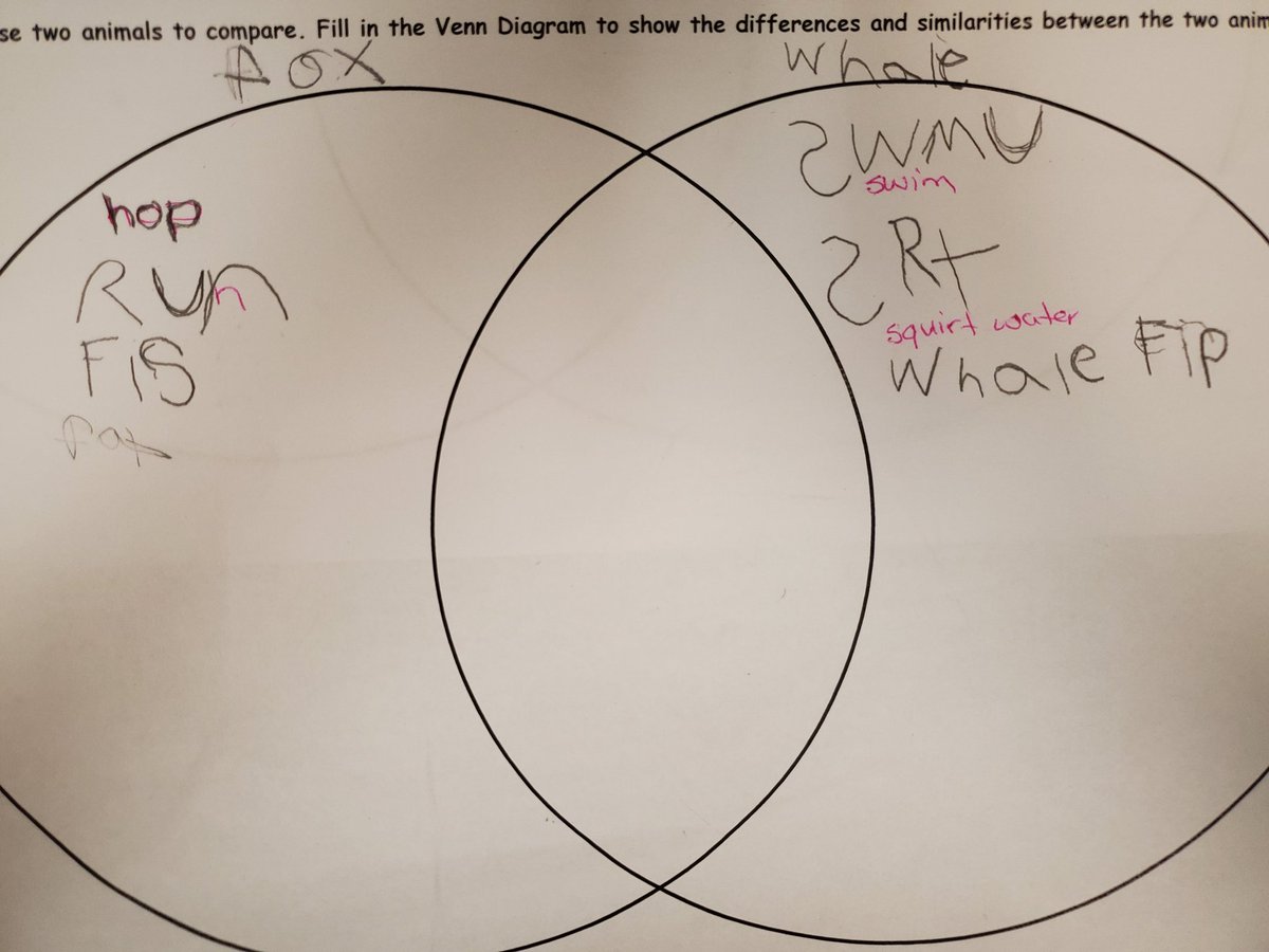 terilynnmonague's tweet photo. #Grade1 students are learning to compare animals using a #VennDiagram in #Science! We had some great similarities and differences as students discussed their chosen animals! @ChrisHadfieldSc https://t.co/9ufH3GMU15
