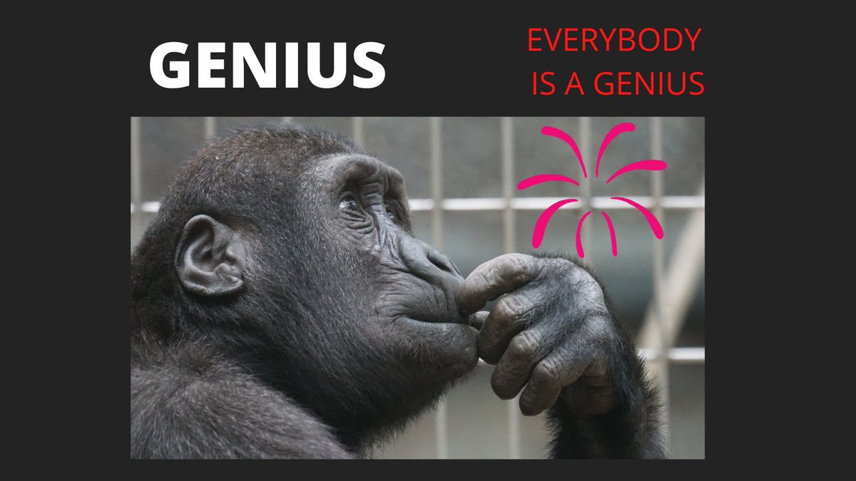 artitagency's tweet photo. Everybody is a genius.
#motivation #MotivationalQuotes #motivational #Genius #branding #people #TrendingNow #Trending #LoveIslandUSA #loveislove #SocialMedia #social #contentmarketing #Bengali #bangladeshi #USA #sri_jon #shahinsrijon https://t.co/fGCuBjmuST