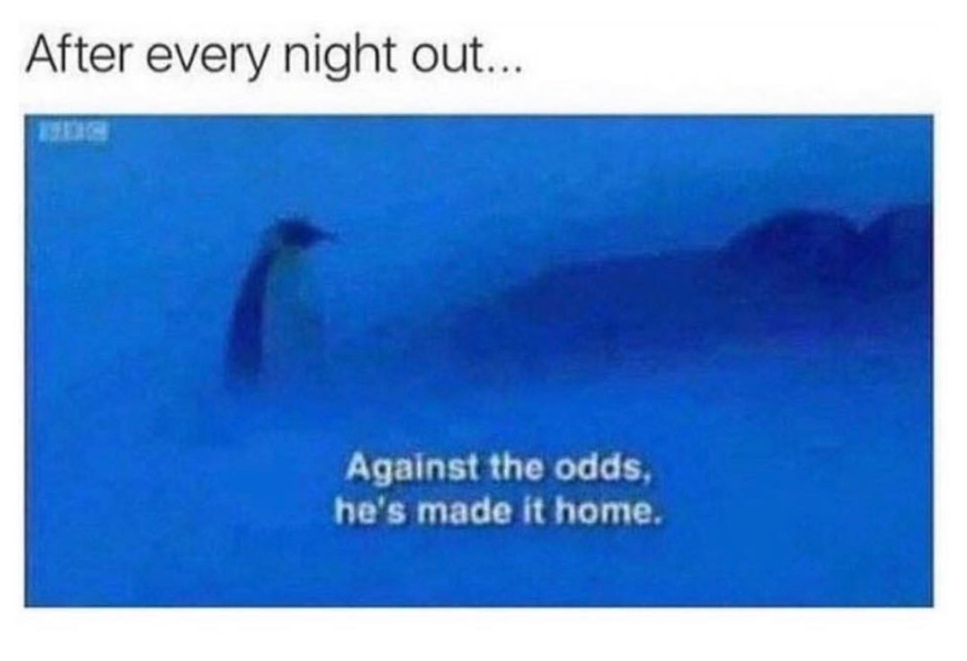 CauseWereGuys's tweet photo. Coming home absolutely mangled https://t.co/sdxhK5UsCd