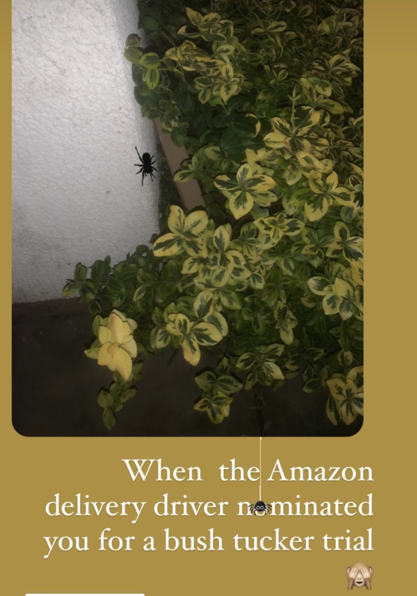 ebullock93's tweet photo. #Amazon #imacelebrity 

Nope 👎 https://t.co/bz1IN45oxW