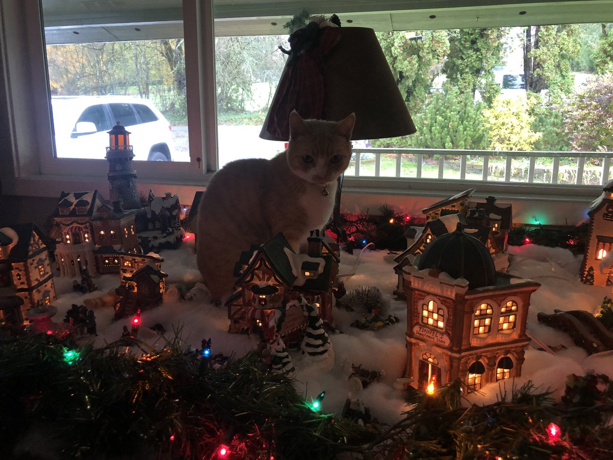 a new mayor has taken over