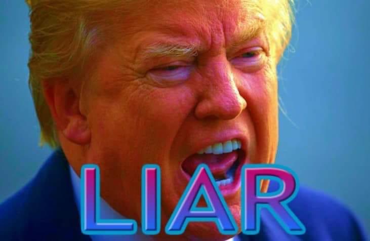 KatrinaTruman's tweet photo. @realDonaldTrump Mr Trump, I think this is the first truthful thing you've said in weeks 🥰🤪🤪🤪🤪🤪 https://t.co/70TDIsLvsA